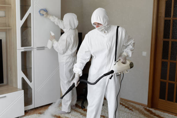 24/7 Emergency Odor Removal experts in Bainbridge, OH